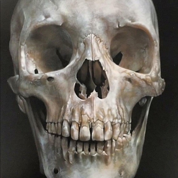 Meet your Posher, Ben - Picture 1 of 1